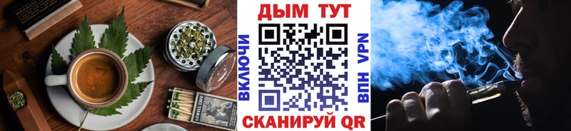 Купить закладки  Людиново  Cannafood конопля 
